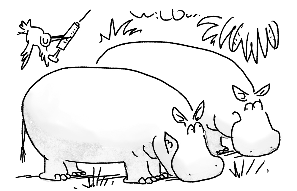 I’m getting the new fat jab