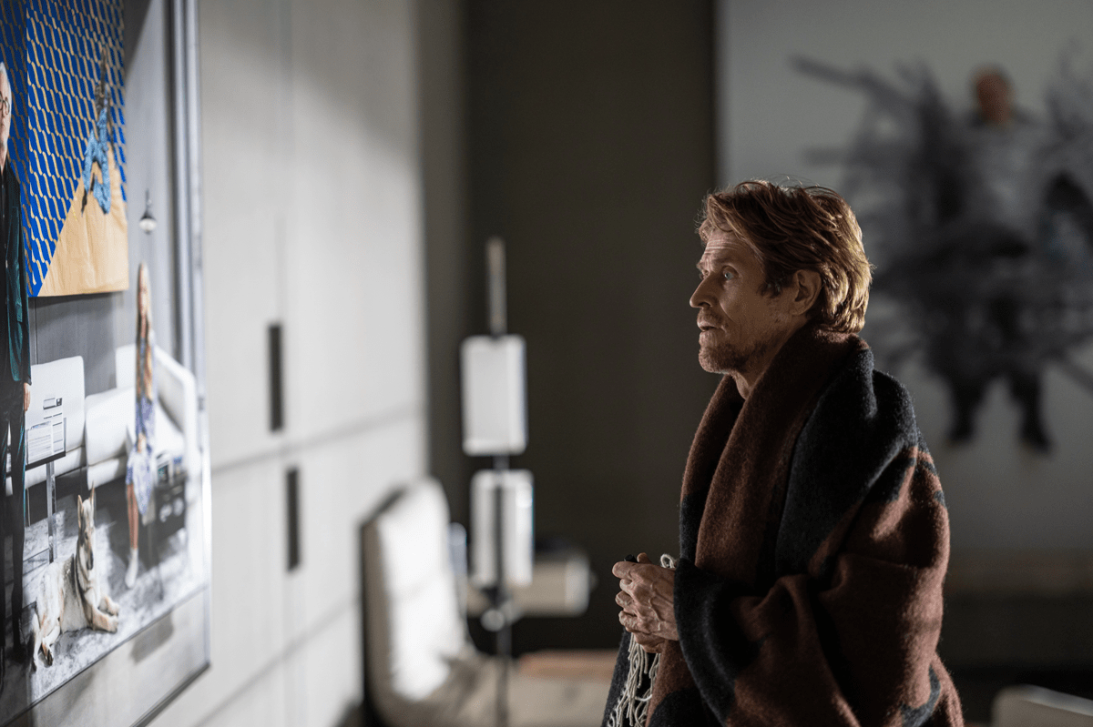 inside leonardo bigazzi