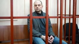 vladimir kara-murza