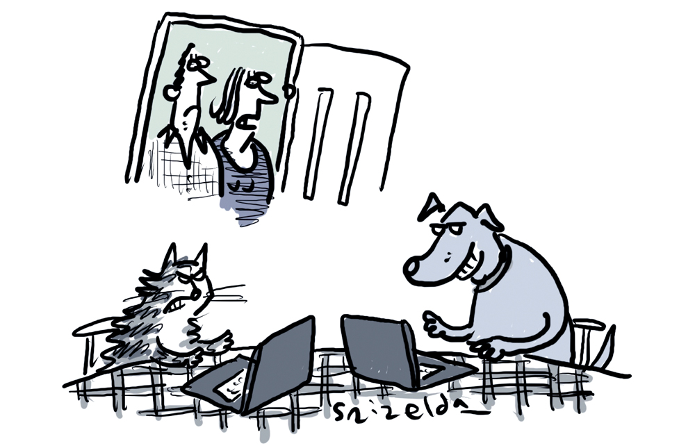 Ugh! They’re trolling each other again.