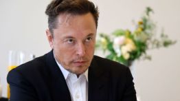 elon musk ron desantis