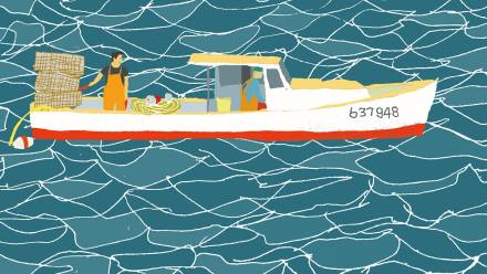 lobster maine lobstermen