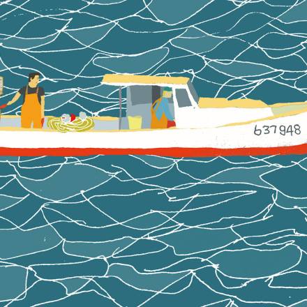 lobster maine lobstermen