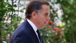 hunter biden plea deal