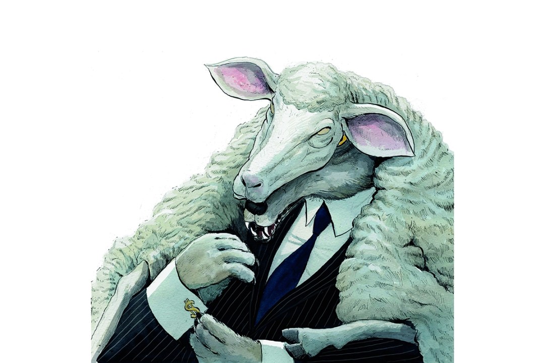 sovereign wealth funds