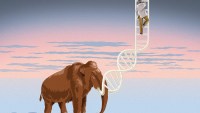mammoth