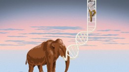 mammoth