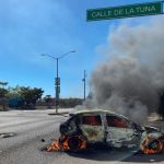 mexican cartels mexico