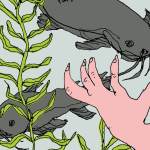 catfish