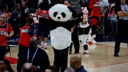 panda