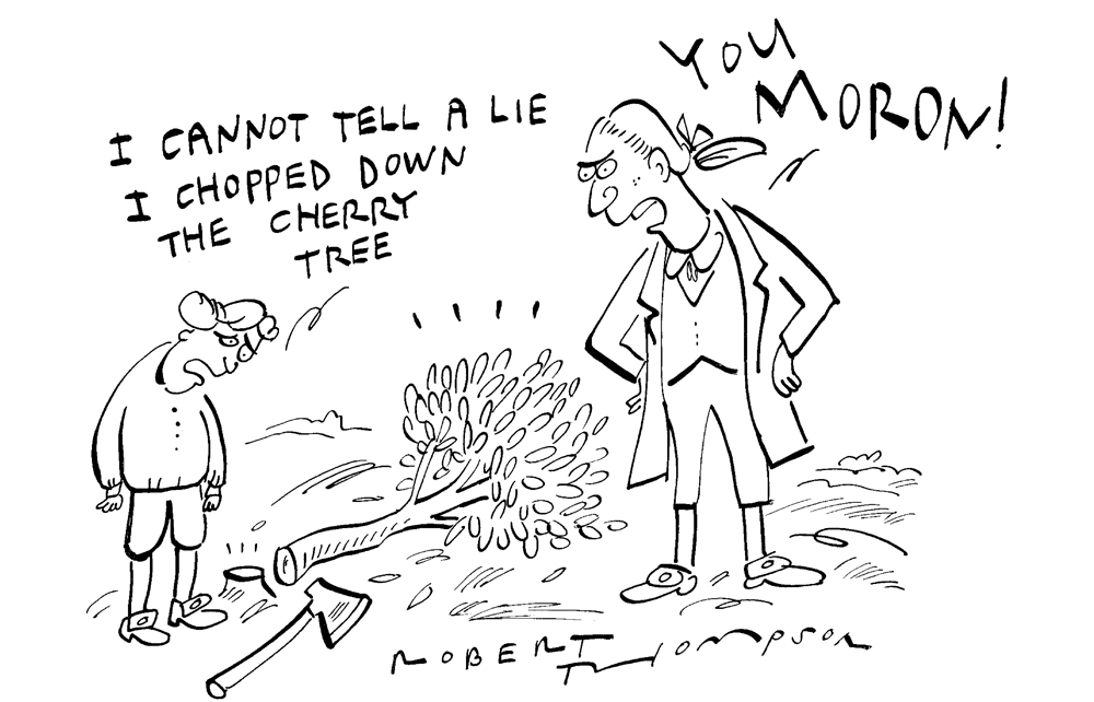 I chopped down the cherry tree