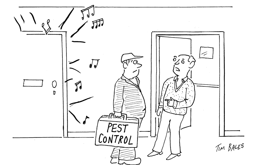 It’s not bed bugs I want you to get rid of