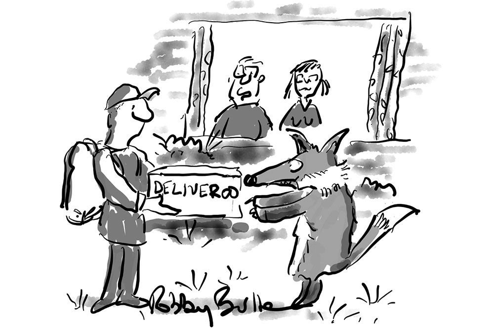 It’s amazing how urbanised they are becoming