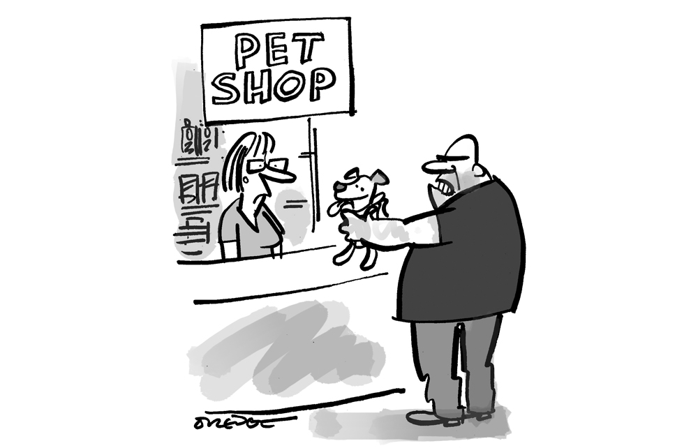 Have you got this in XL bully size?