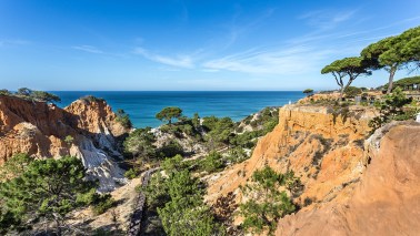 pine cliffs
