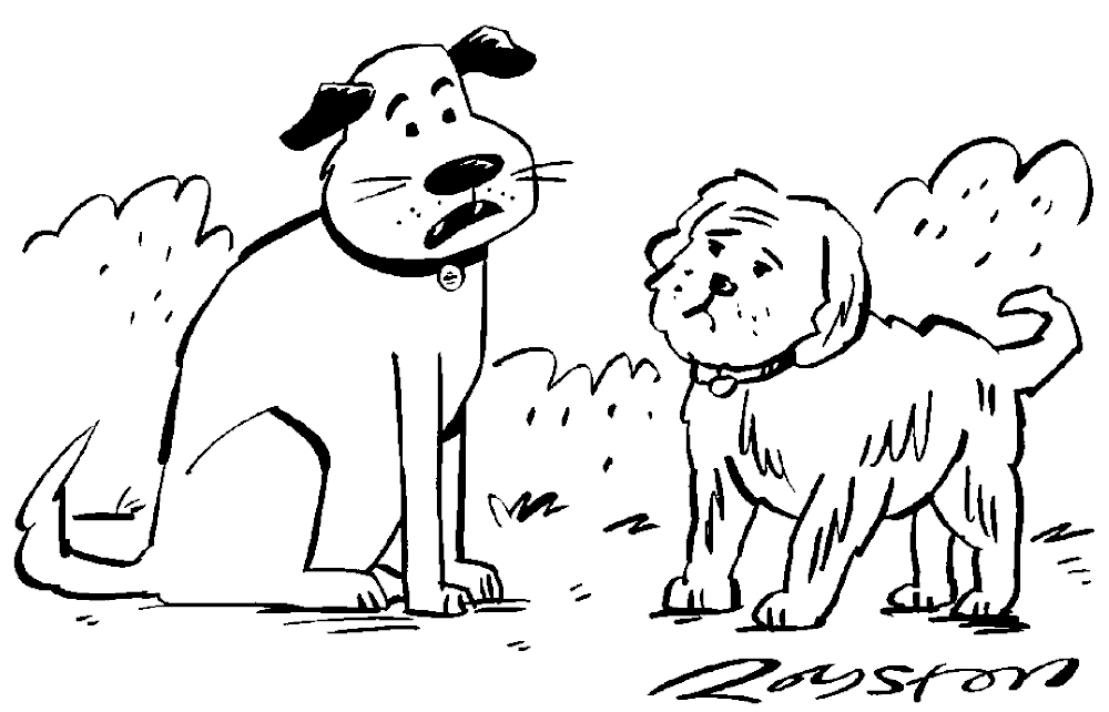 I can’t find the enthusiasm for photos at polling stations