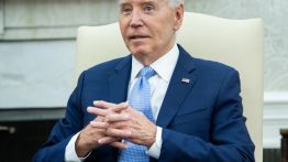 democrats hydrant dog