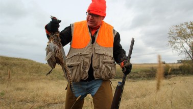 tim walz minnesota nice
