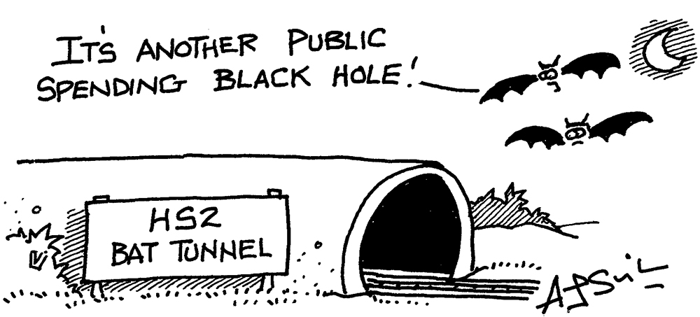HS2 bat tunnel