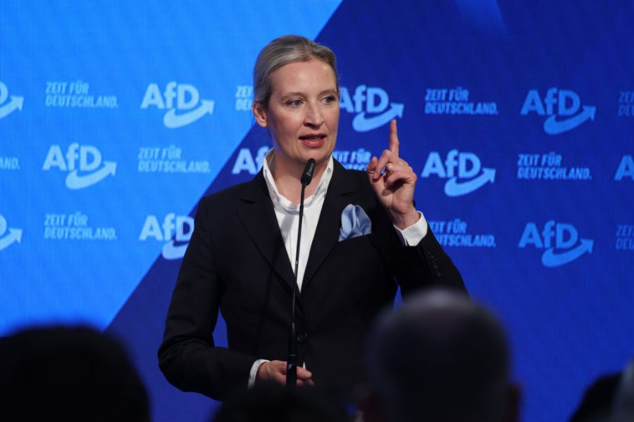 The AfD will be a thorn in Merz's side | The Spectator