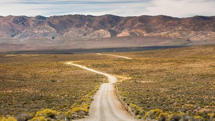 karoo