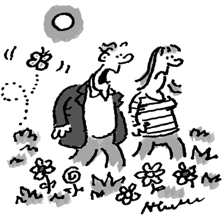 Christmas decorations in the shops