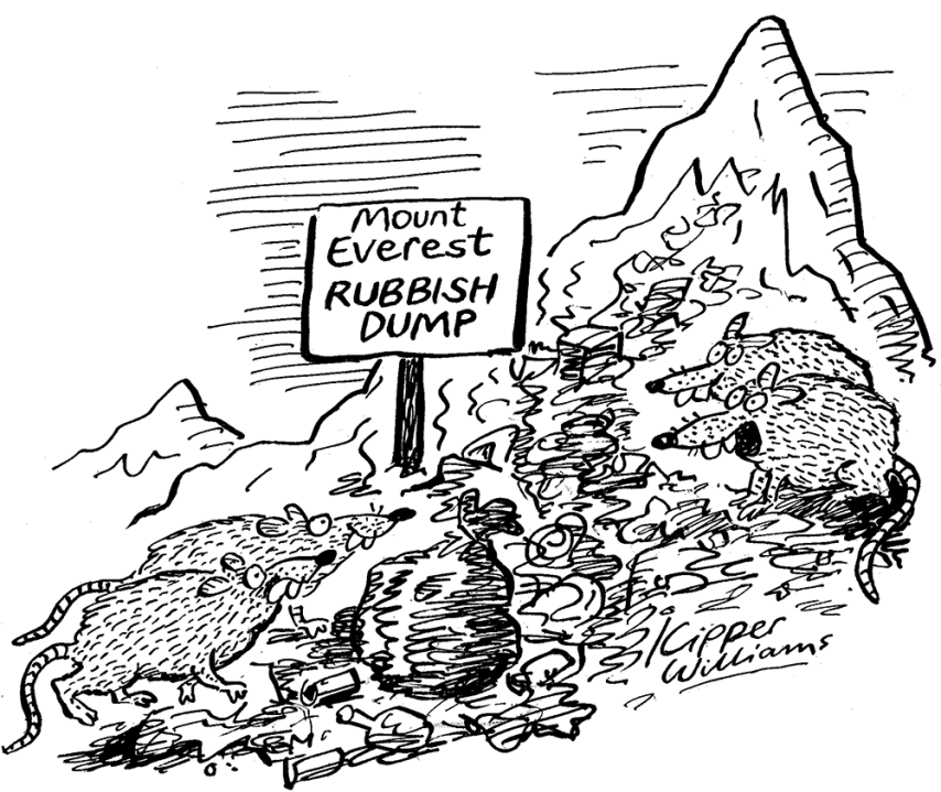 It’s that lovely couple