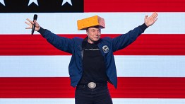 democrats elon musk