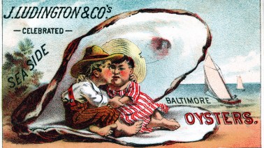 oyster