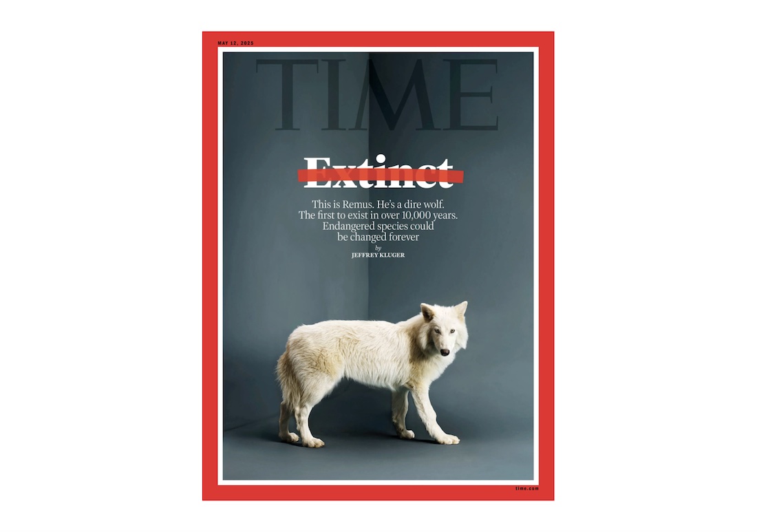 Wolf Magazine issue zero 創刊号 超激レア Have we really brought dire wolves back from extinction? | The