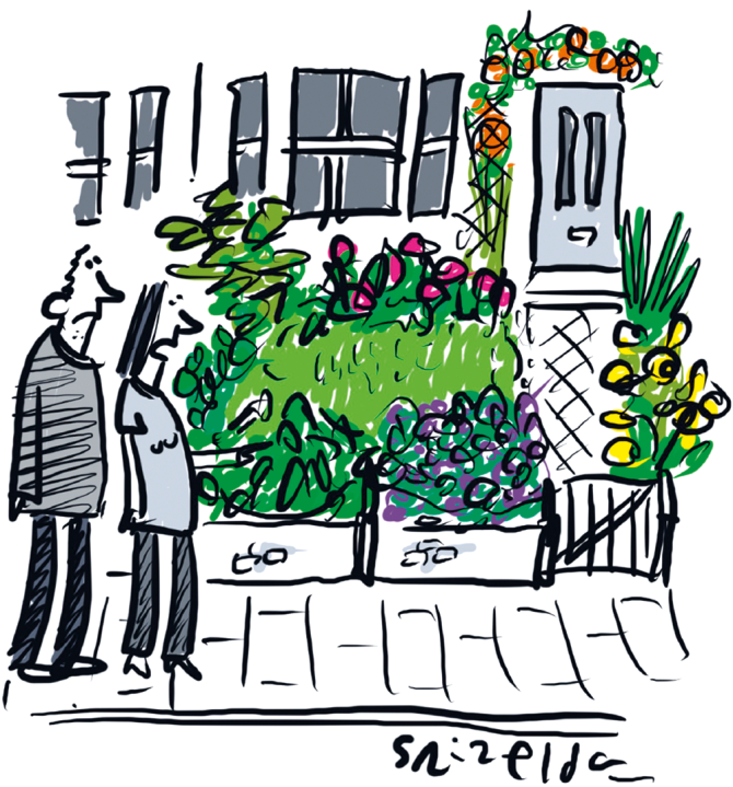 Let’s pave over our garden