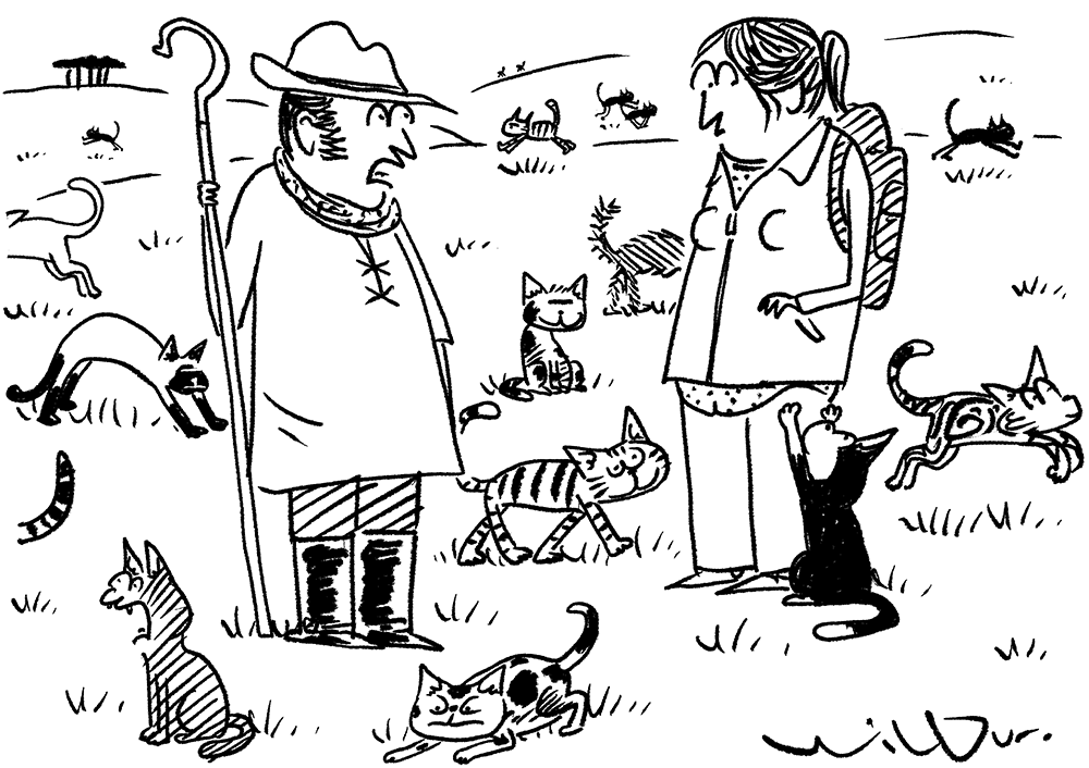 I considered joining the Labour party