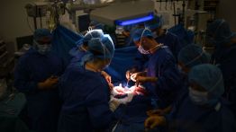 Organ transplant in Paris (Getty)