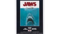 Jaws