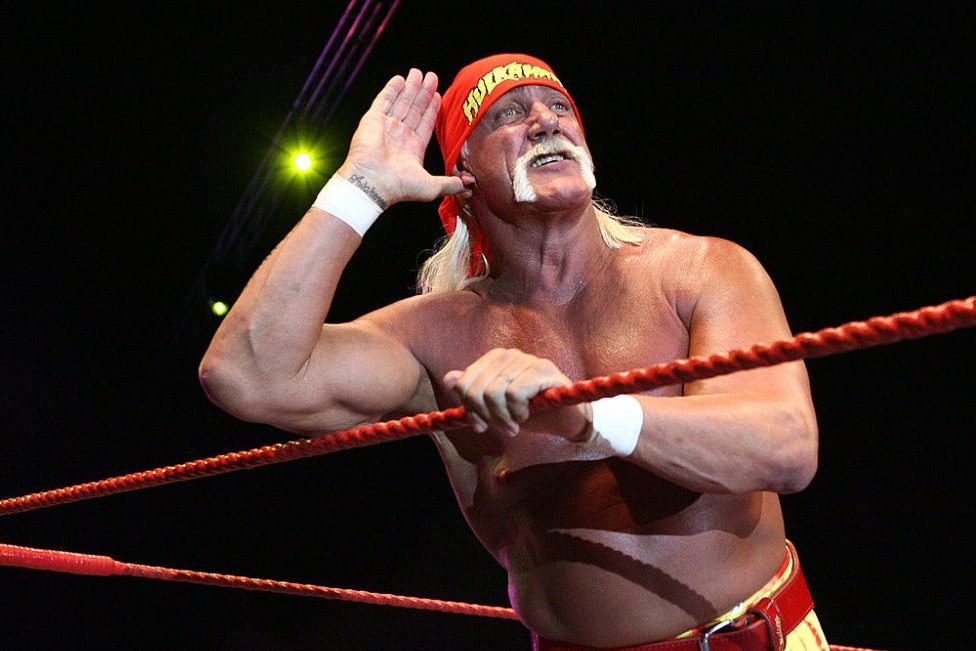 hulk hogan gawker
