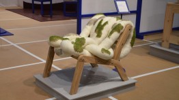 Should we look forward to such things as the ‘Chia Chair’, which ‘is designed to entice us to take a seat but it is actually a bed for chia seeds’