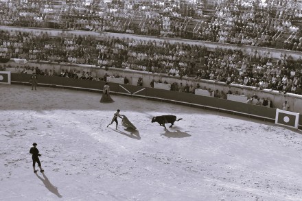 bullfighting