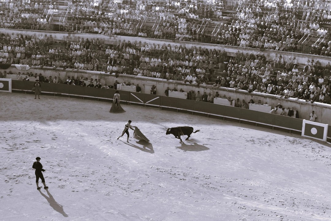 bullfighting
