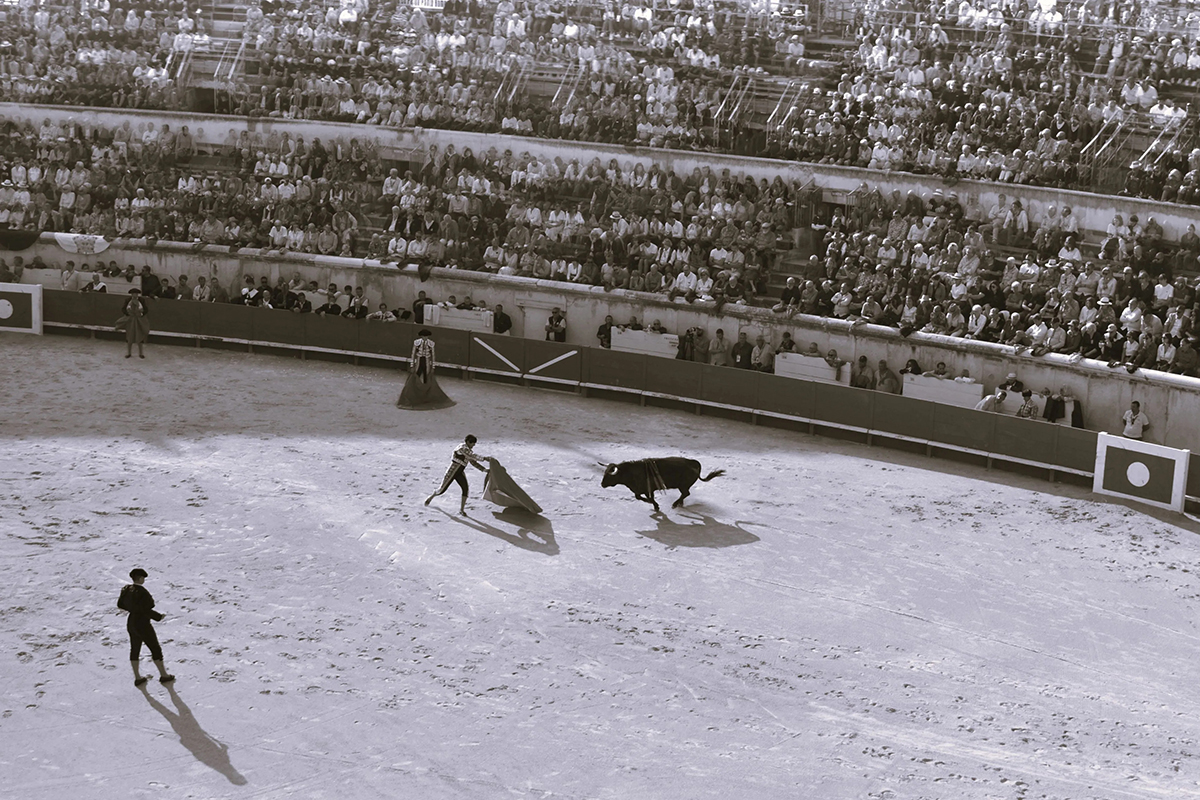 bullfighting
