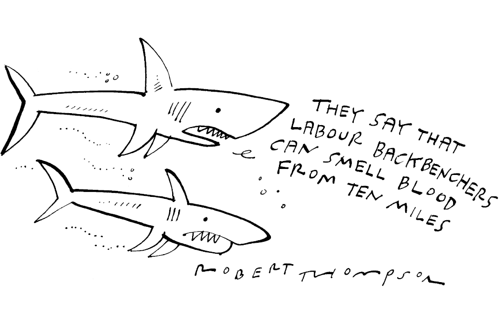 Labour backbenchers can smell blood from ten miles away