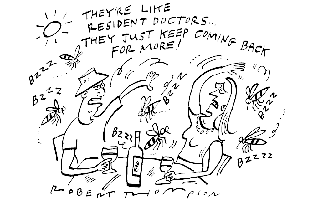 They’re like resident doctors