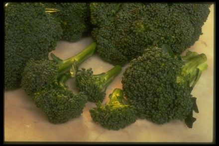 broccoli