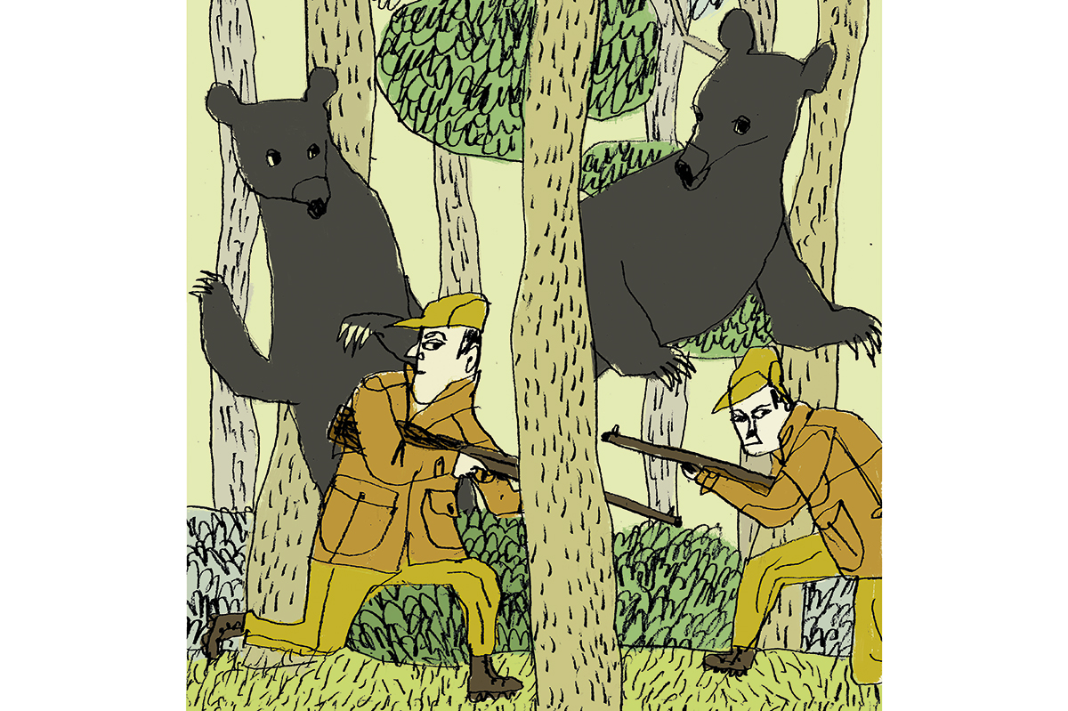 bear