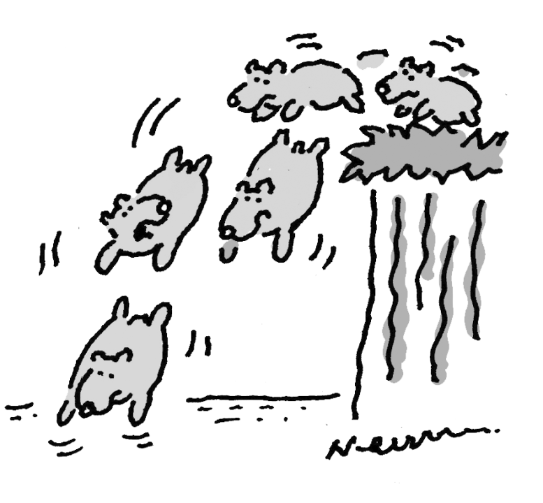 Is it too late for a letter  of no confidence?