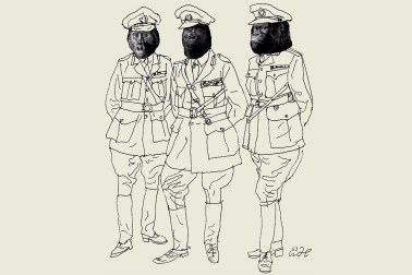 apes