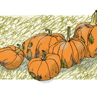 pumpkins