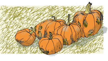 pumpkins