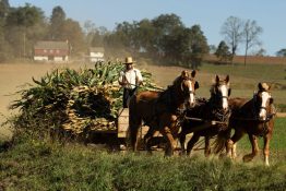 amish