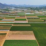 china america food supply