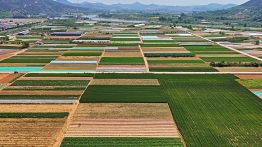 china america food supply